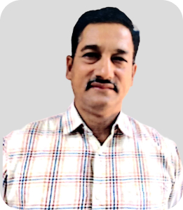 Collection Executive